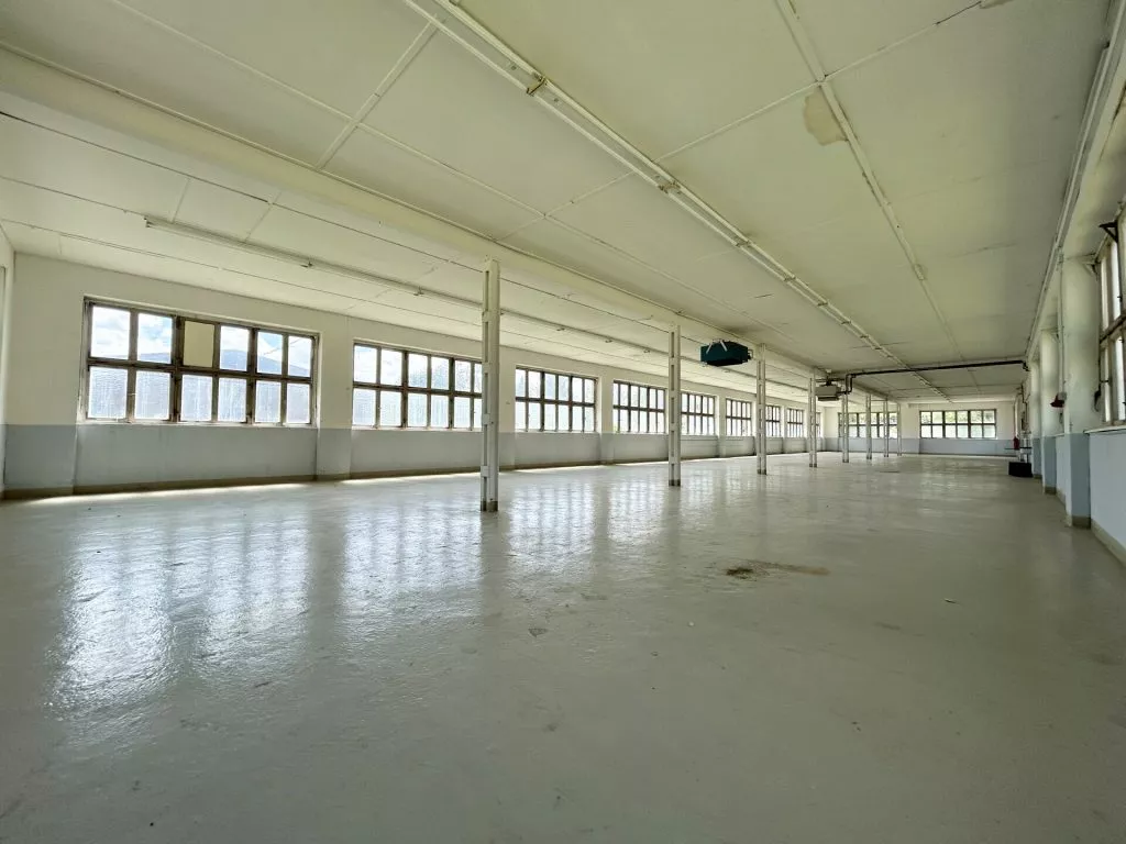 Immobilienangebot - Deißlingen-Lauffen - Alle - TOP-Gewerbehalle auf 752 m². Besonders hell.
3 Büros, Aufenthaltsraum, Toiletten. Stellplätze.