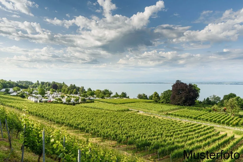 Immobilienangebot - Immenstaad am Bodensee - Grundstücke - Ihr eigener Campingplatz direkt am Bodensee.
Stellplatz 115 m² groß. Mit Wasser, Abwasser &
Strom.