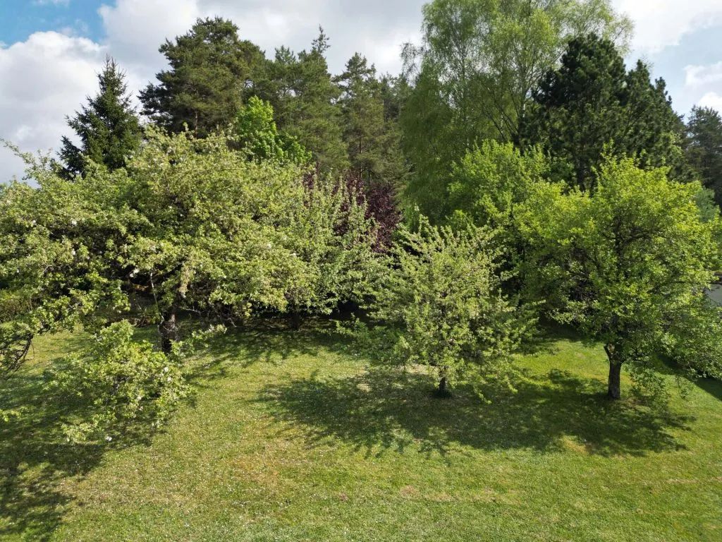 Immobilienangebot - Dornstetten / Aach - Alle - EFH Dornstetten Aach