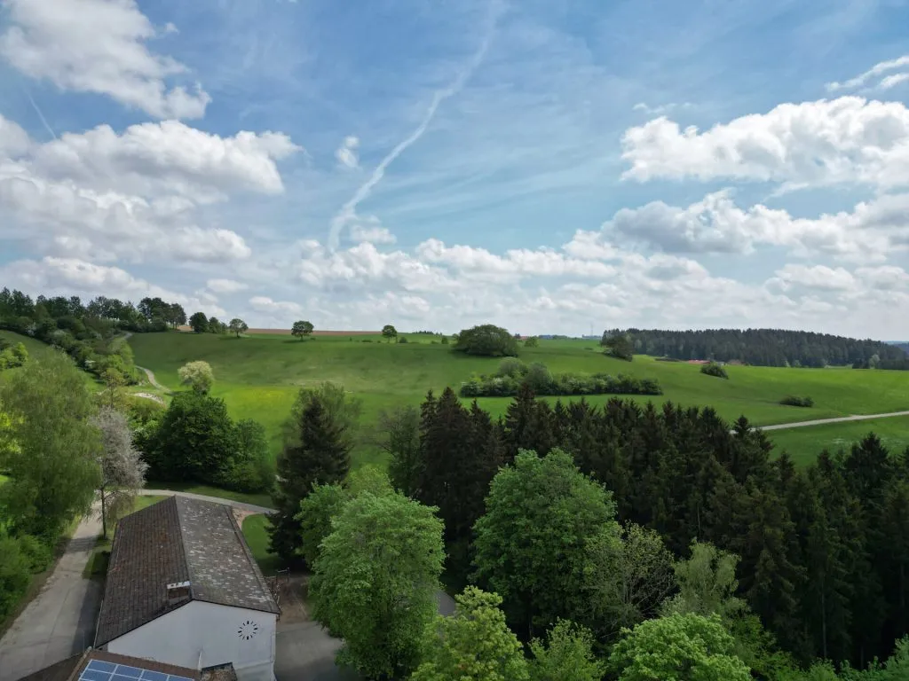 Immobilienangebot - Dornstetten / Aach - Alle - EFH Dornstetten Aach