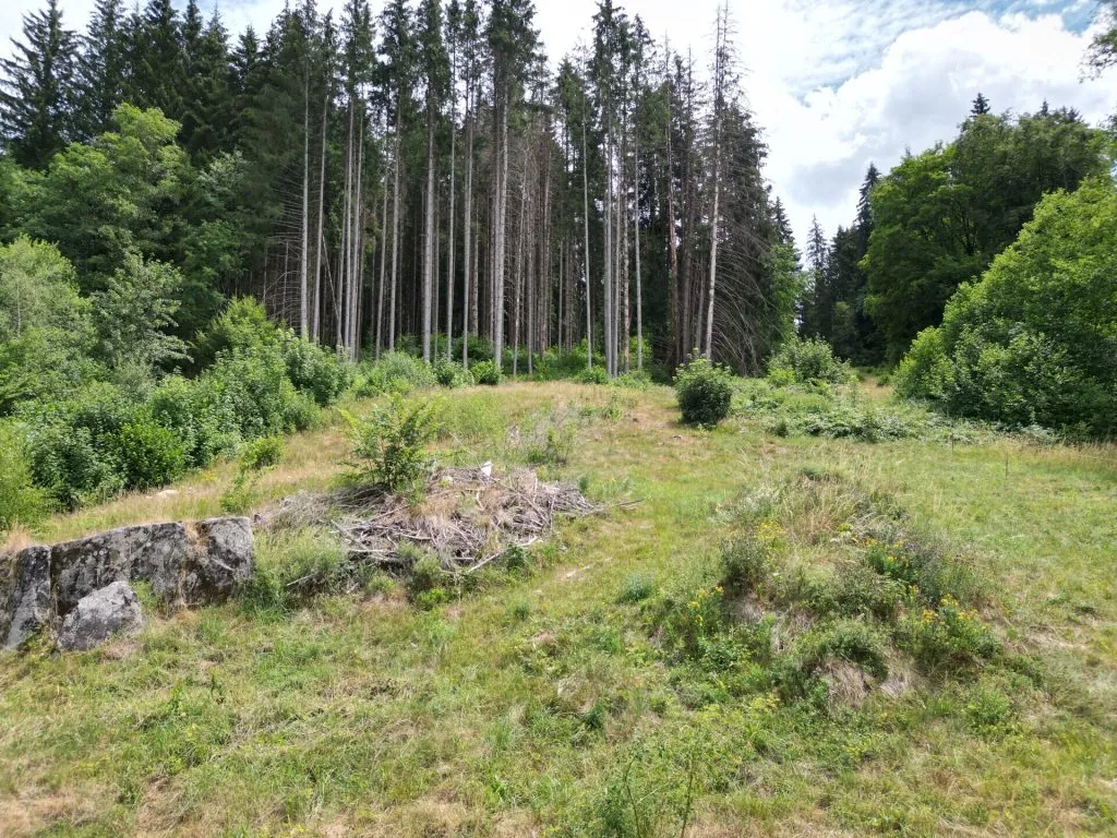 Immobilienangebot - Sankt Blasien - Grundstücke - Sorry...leider reserviert. Ein besonderes Plätzle im Schwarzwald. Zwei Flurstücke mit 5.277 m².