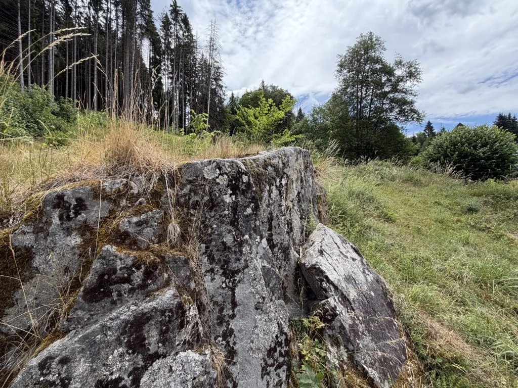 Immobilienangebot - Sankt Blasien - Grundstücke - Sorry...leider reserviert. Ein besonderes Plätzle im Schwarzwald. Zwei Flurstücke mit 5.277 m².