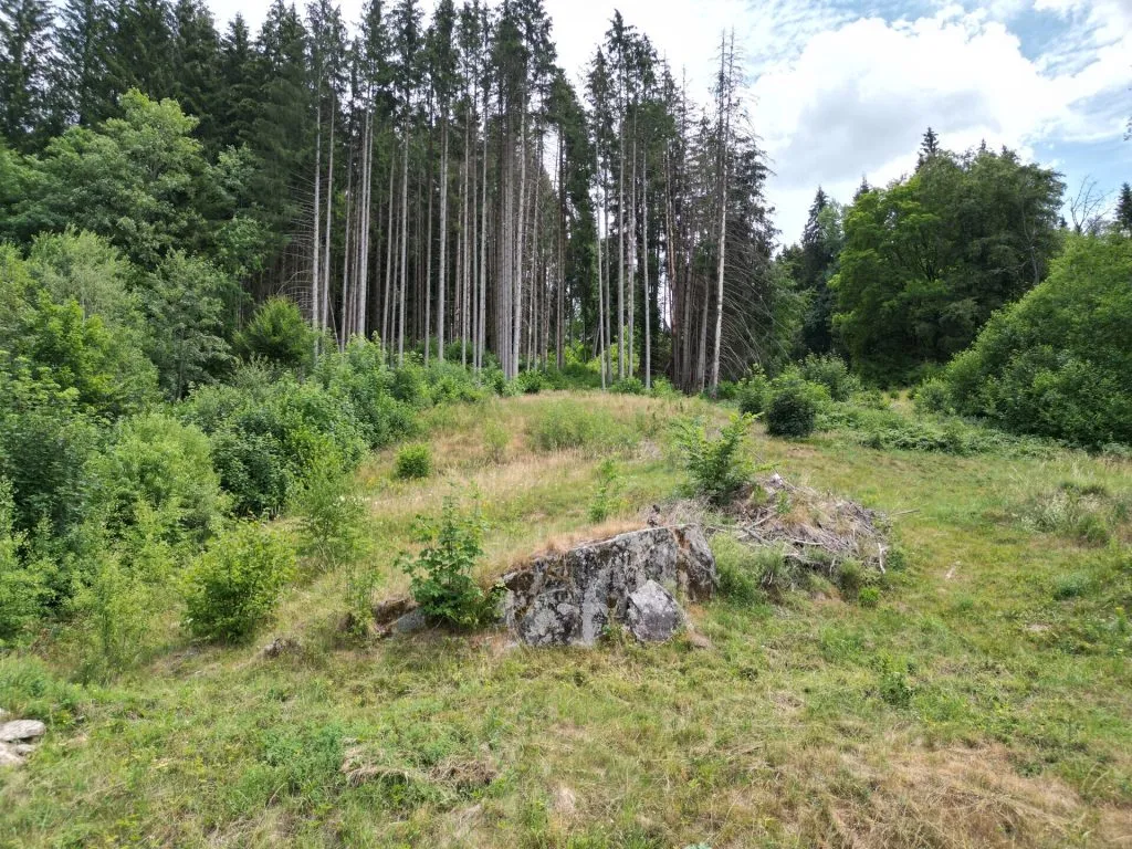 Immobilienangebot - Sankt Blasien - Grundstücke - Sorry...leider reserviert. Ein besonderes Plätzle im Schwarzwald. Zwei Flurstücke mit 5.277 m².