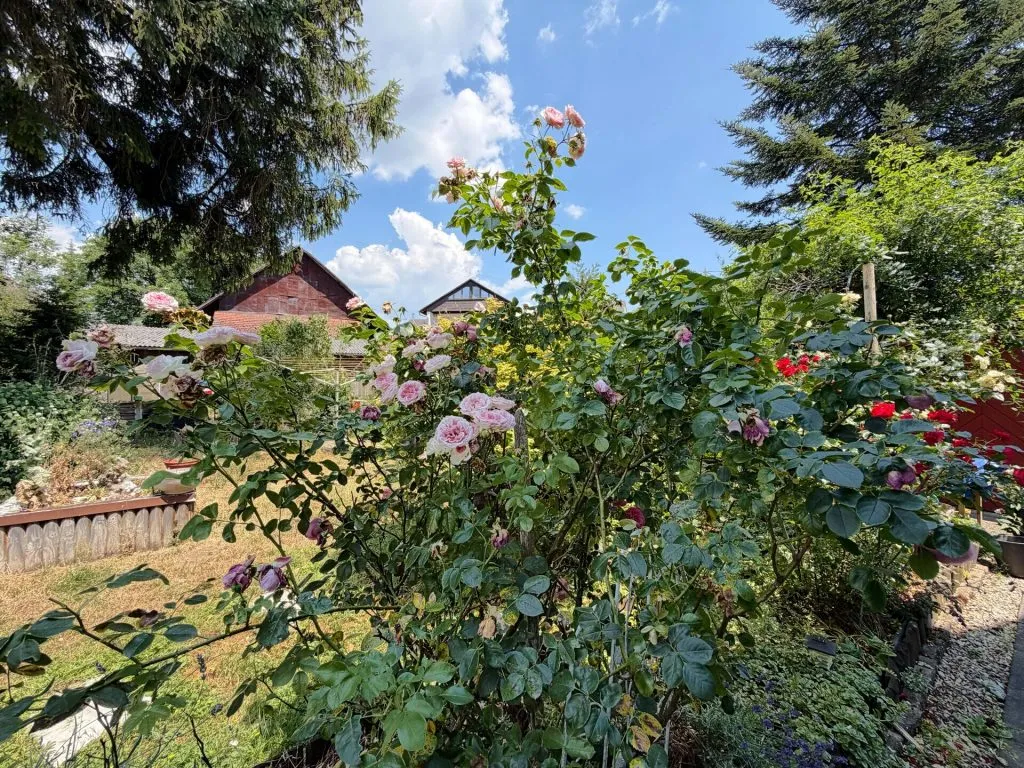 Immobilienangebot - Blumberg / Fützen - Alle - Sorry...leider reserviert. Diese Wohnidylle wird Ihr neues Zuhause. 3 Zimmer auf 97 m².