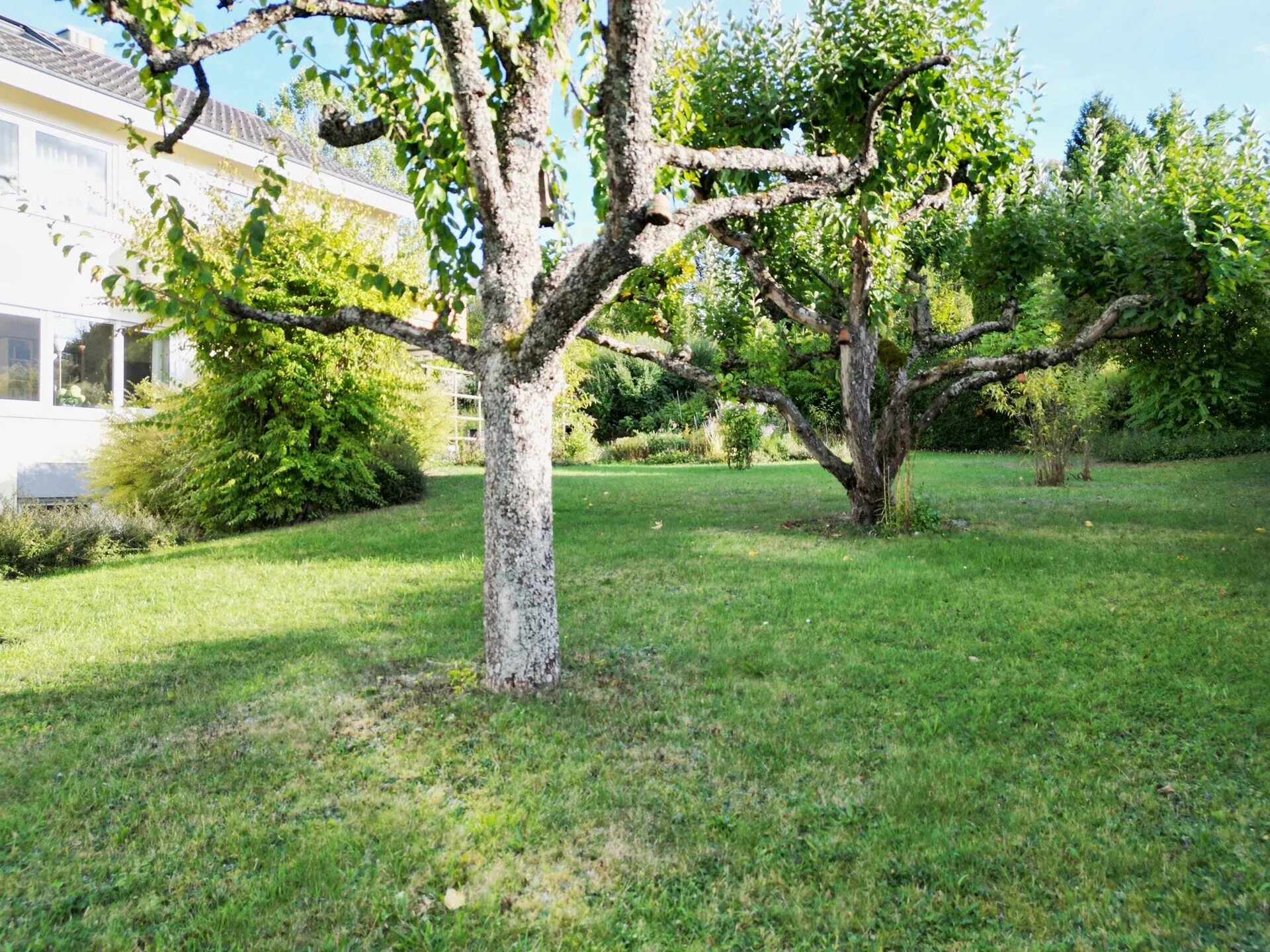 Immobilienangebot - Tuttlingen - Alle - Familienglück trifft Gartenliebe. Viel Platz
in 8 Zimmern auf 192 m². Herrlicher Garten.
2 Garagen.